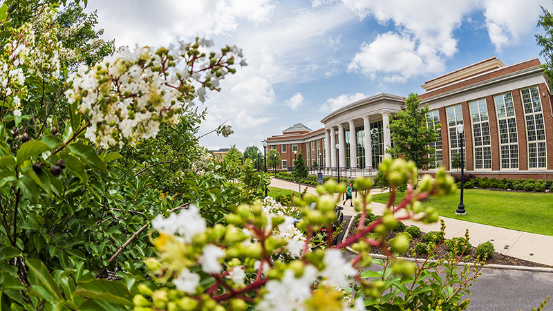 view of flowers and the side of the ferg building